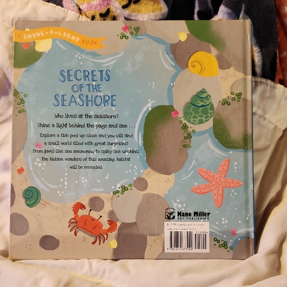 Secrets of the Seashore Shine-a-Light Book - Picture 2 of 6
